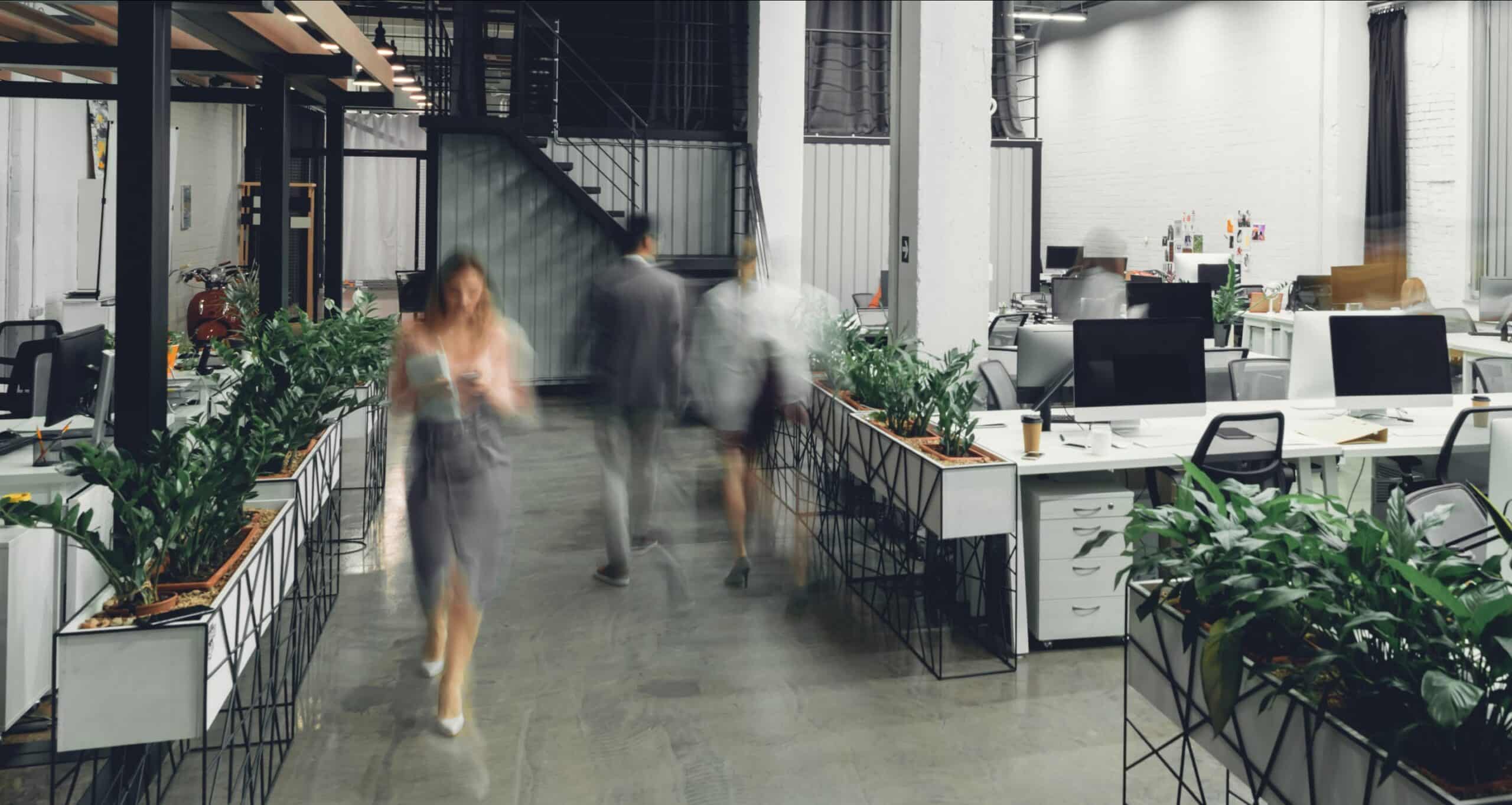Management Services - KWP